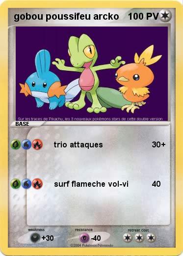 Pokemon gobou poussifeu arcko