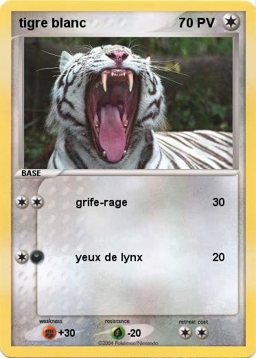 Pokemon tigre blanc