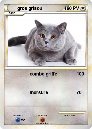 Pokemon gros grisou