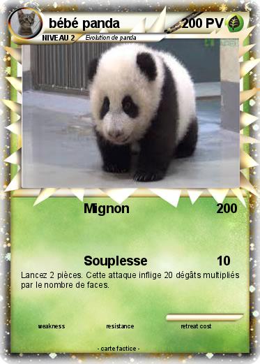 Pokemon bébé panda