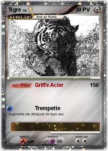 Pokemon Tigre