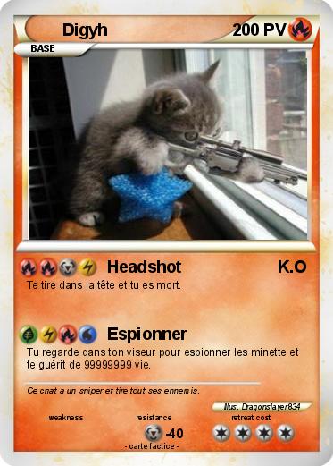 Pokemon Digyh