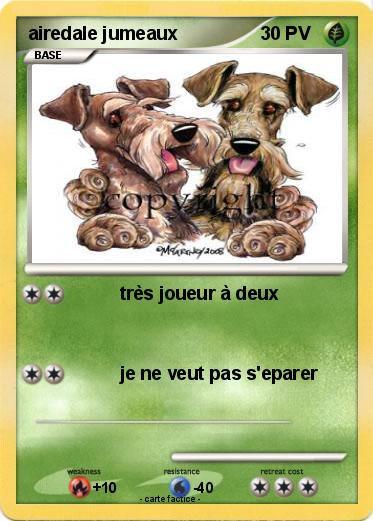 Pokemon airedale jumeaux