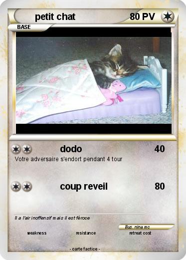 Pokemon petit chat