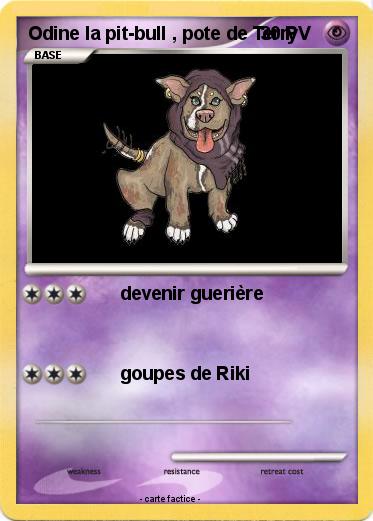 Pokemon Odine la pit-bull , pote de Terry