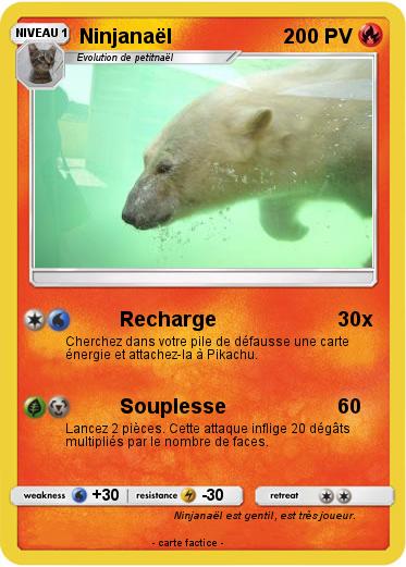 Pokemon Ninjanaël