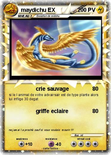Pokemon maydichu EX