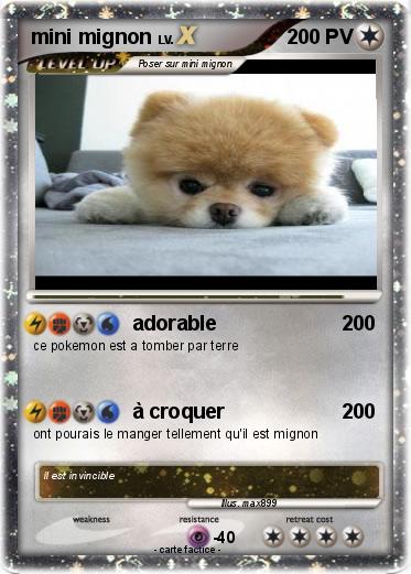 Pokemon mini mignon
