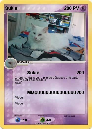 Pokemon Sukie