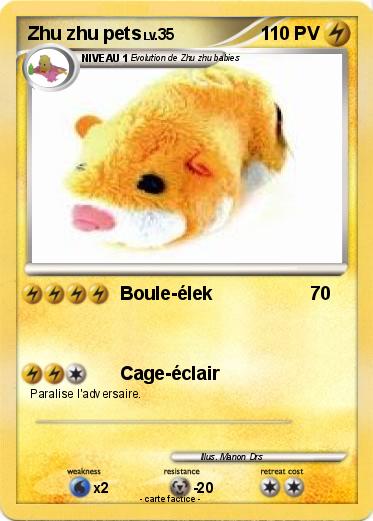Pokemon Zhu zhu pets