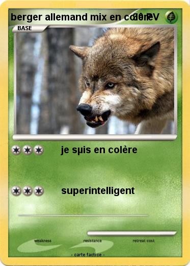 Pokemon berger allemand mix en colère