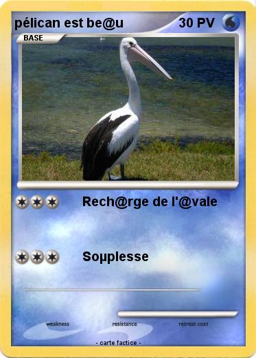 Pokemon pélican est be@u