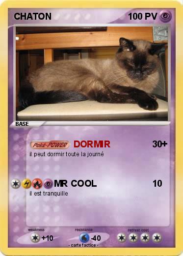 Pokemon CHATON
