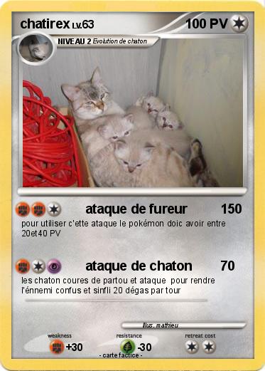 Pokemon chatirex