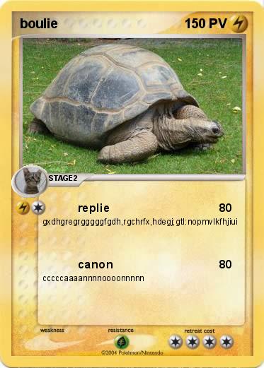 Pokemon boulie