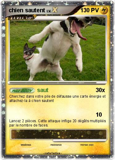 Pokemon chien sautent