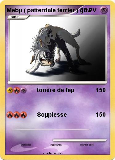 Pokemon Mebµ ( patterdale terrier ) gdw