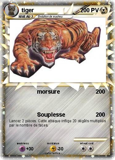 Pokemon tiger