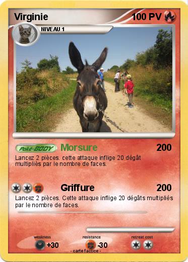 Pokemon Virginie