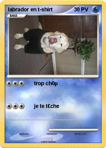 Pokemon labrador en t-shirt