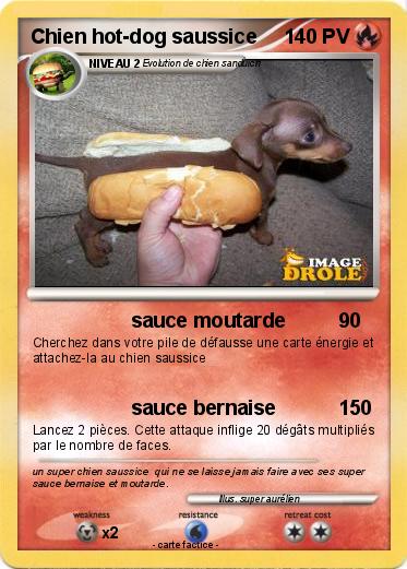 Pokemon Chien hot-dog saussice