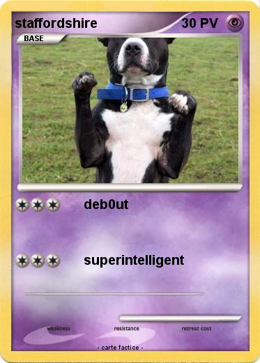 Pokemon staffordshire