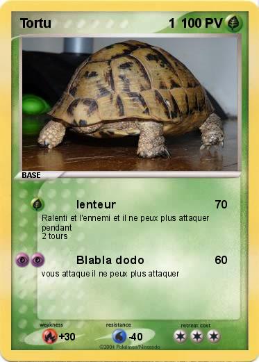 Pokemon Tortu                                 1