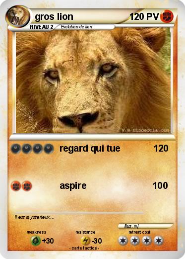 Pokemon gros lion