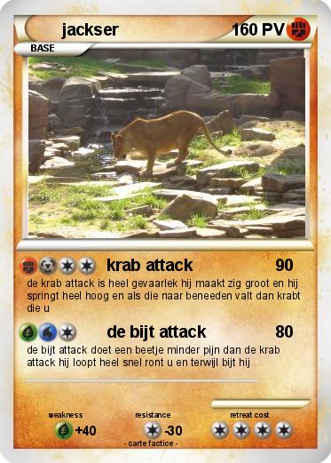 Pokemon jackser
