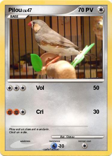 Pokemon Pilou