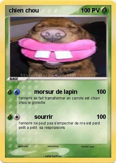 Pokemon chien chou