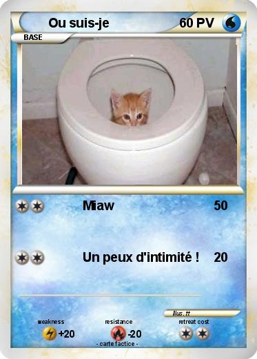 Pokemon Ou suis-je