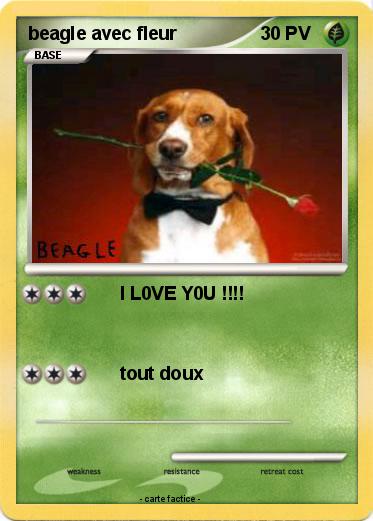 Pokemon beagle avec fleur