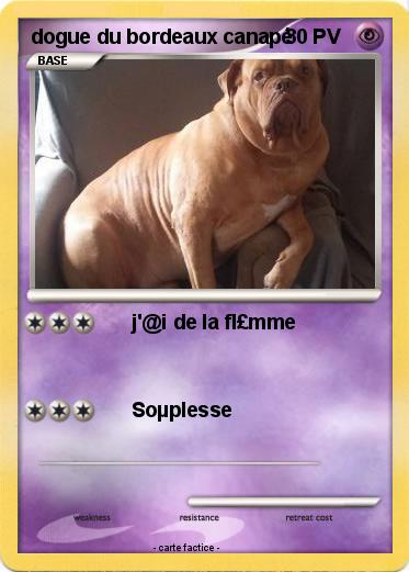 Pokemon dogue du bordeaux canapé