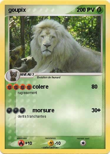 Pokemon goupix