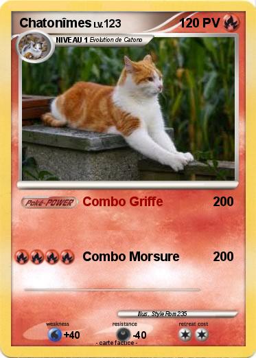 Pokemon Chatonîmes