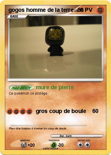 Pokemon gogos homme de la terre