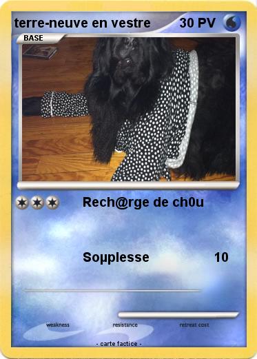 Pokemon terre-neuve en vestre