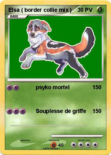 Pokemon Elsa ( border collie mix )