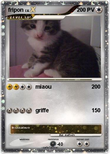Pokemon fripon