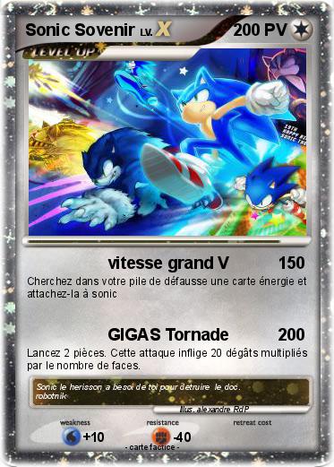 Pokemon Sonic Sovenir