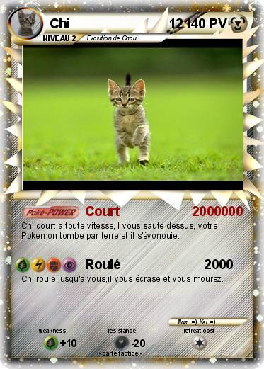 Pokemon Chi                           12