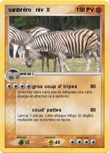 Pokemon sanbréro   niv  X