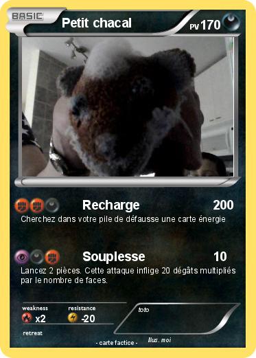 Pokemon Petit chacal