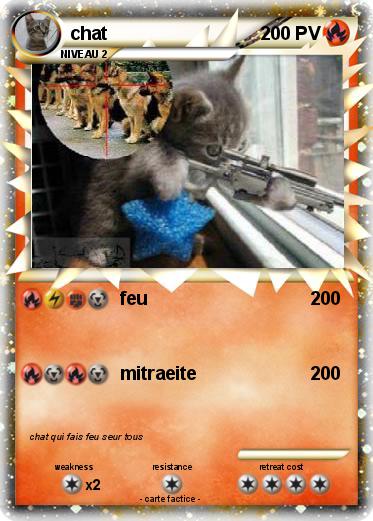 Pokemon chat