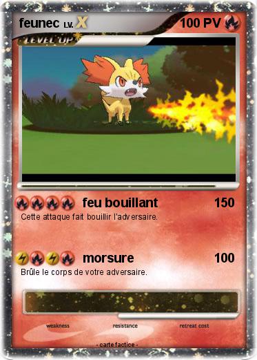 Pokemon feunec