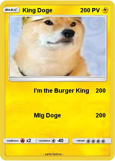 Pokemon King Doge