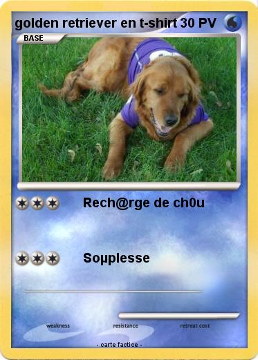 Pokemon golden retriever en t-shirt