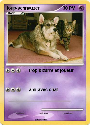 Pokemon loup-schnauzer