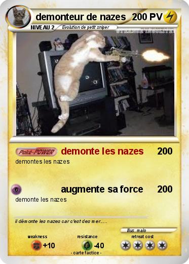 Pokemon demonteur de nazes